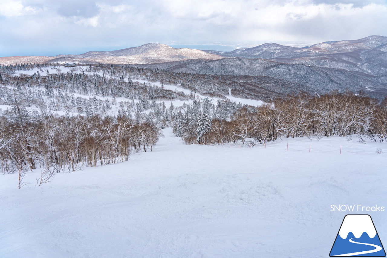 札幌国際スキー場｜３月の平日。粉雪コンディション、ゴンドラ＆リフト待ち無し、もちろん、ゲレンデも混雑無し。要するに、最高です(^_-)-☆